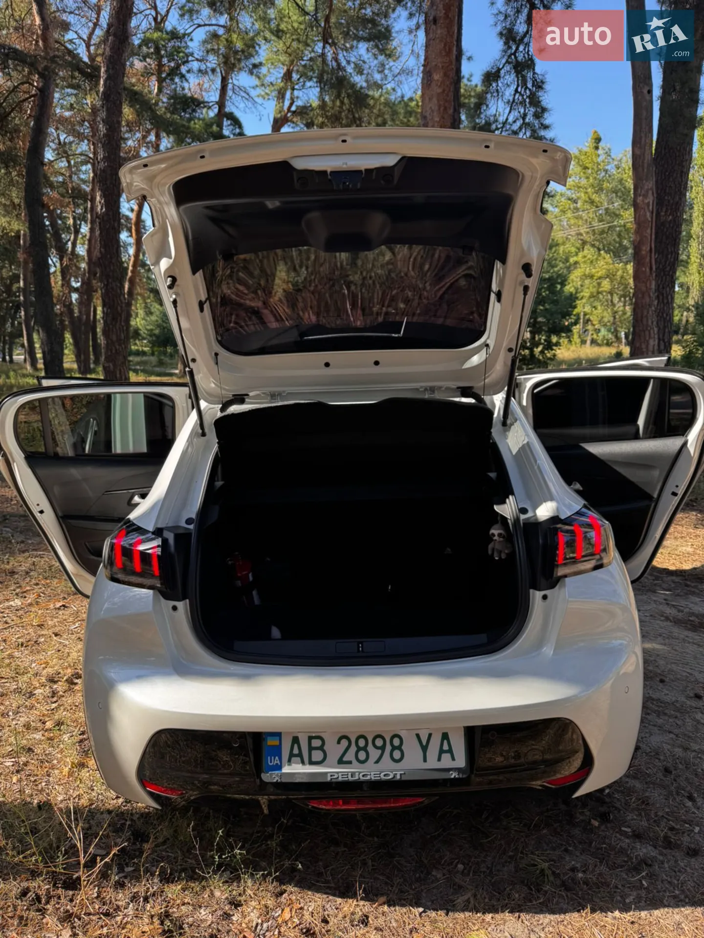 Peugeot e-208 2020 — 1