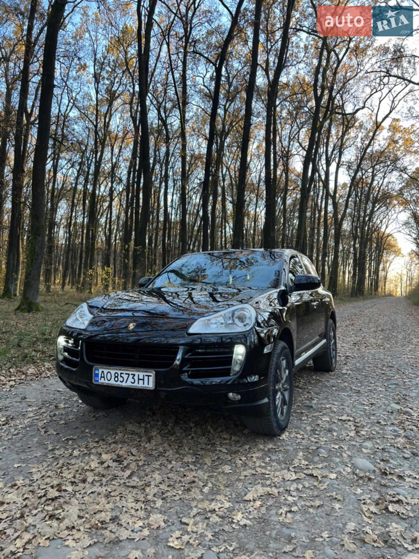Porsche Cayenne, 2010