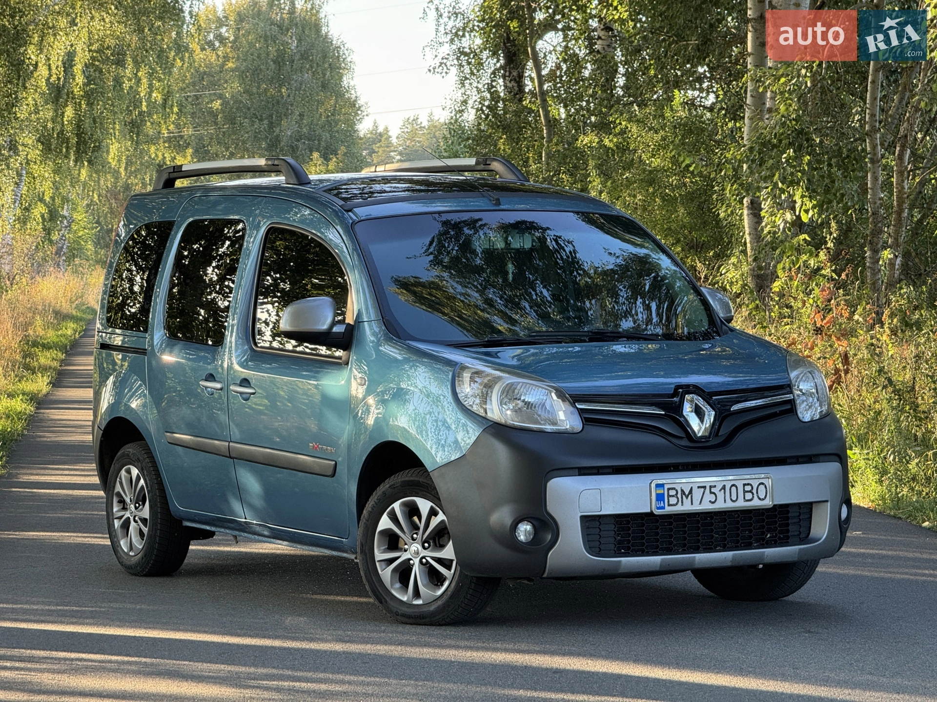 Renault Kangoo, 2013