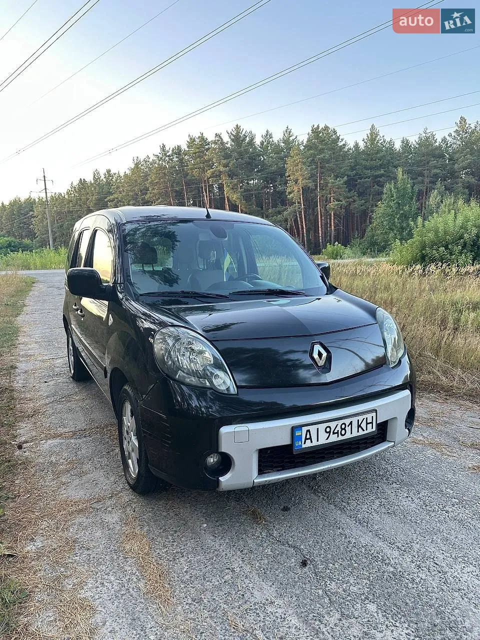 Renault Kangoo, 2010