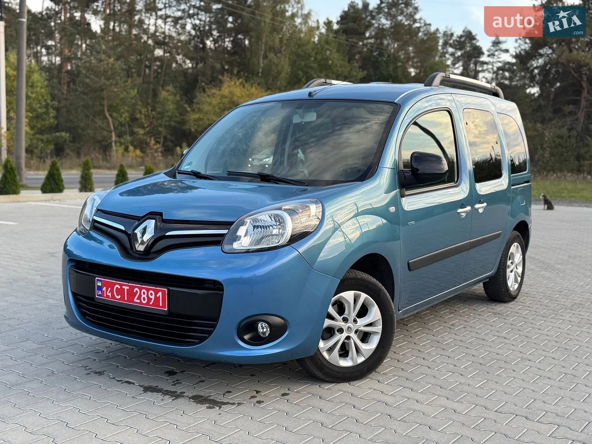 Renault Kangoo, 2015