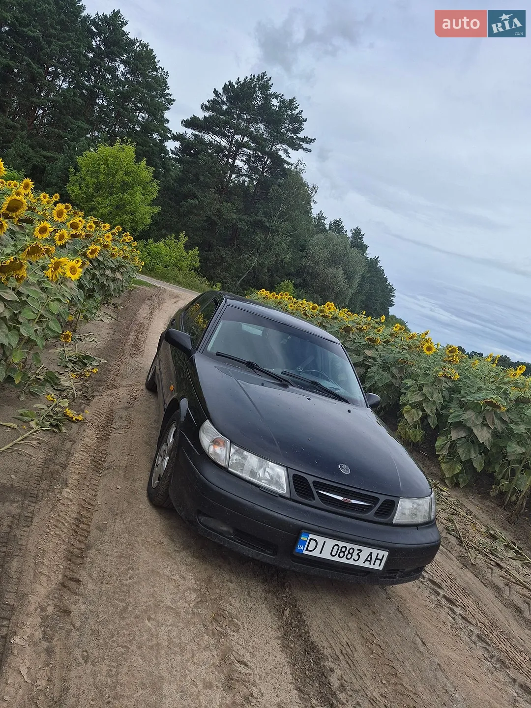 Saab 9-5, 2000
