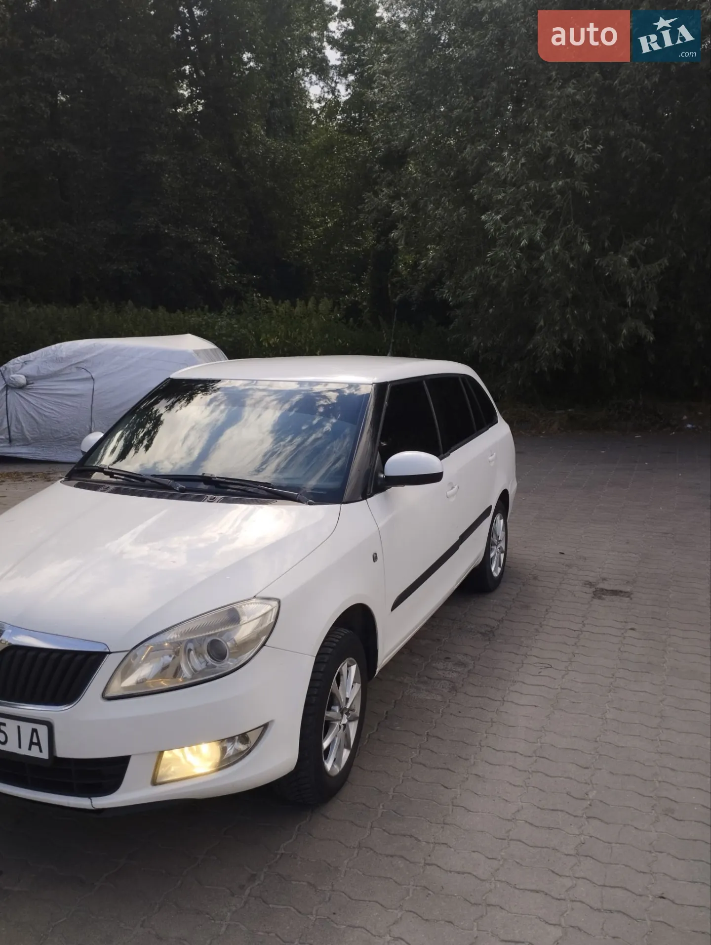 Skoda Fabia, 2010