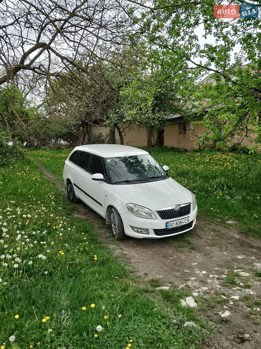Skoda Fabia, 2010