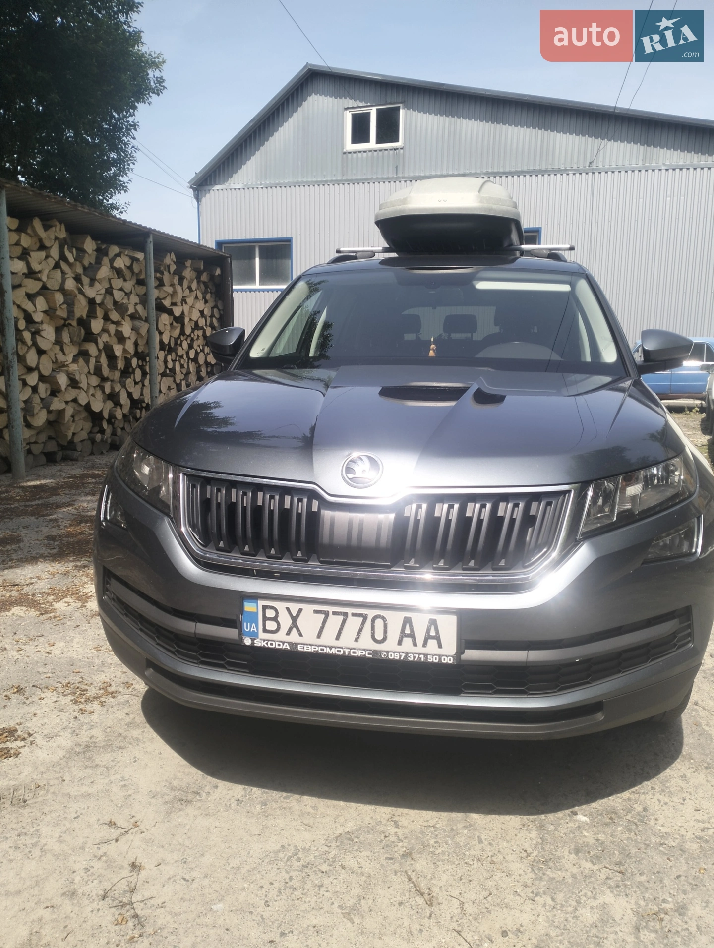 Skoda Kodiaq, 2020