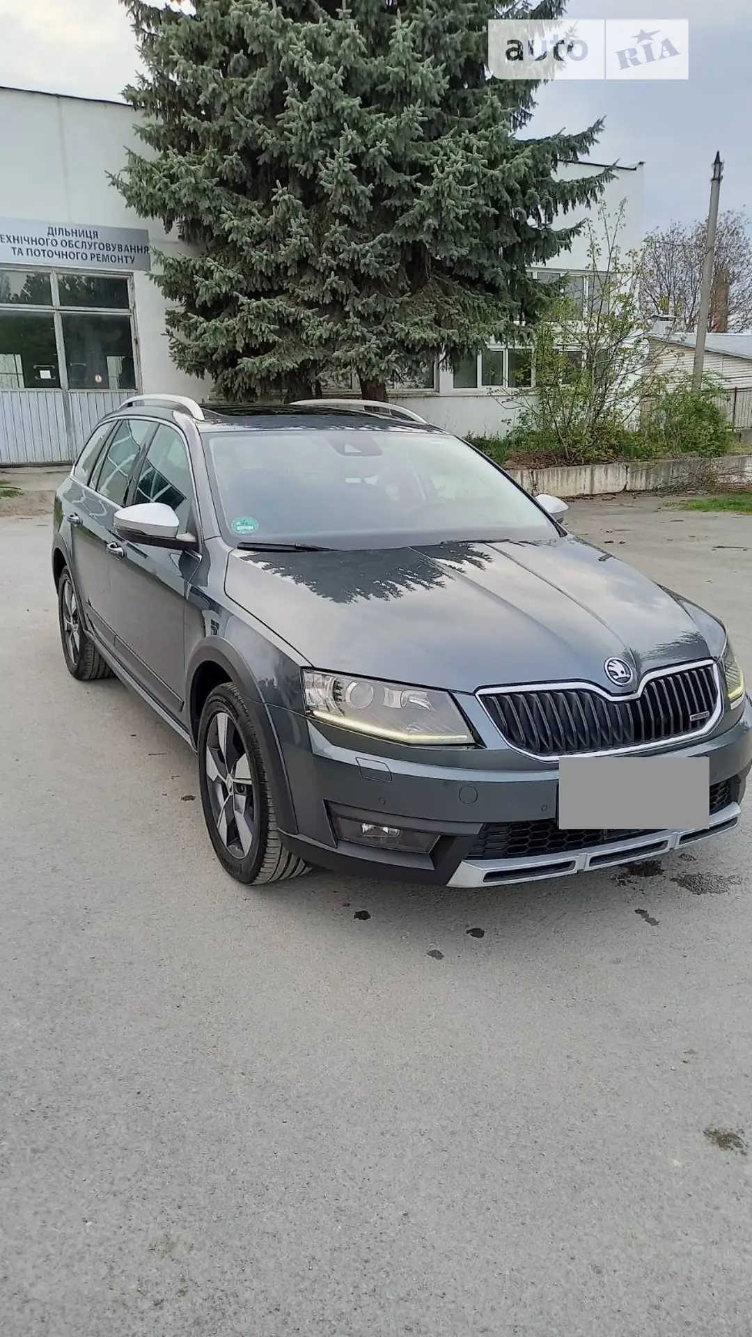 Skoda Octavia Scout, 2016