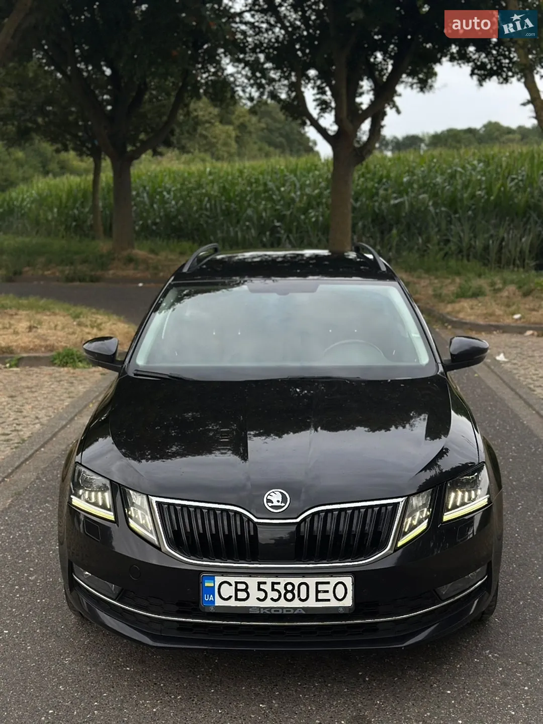 Skoda Octavia, 2019