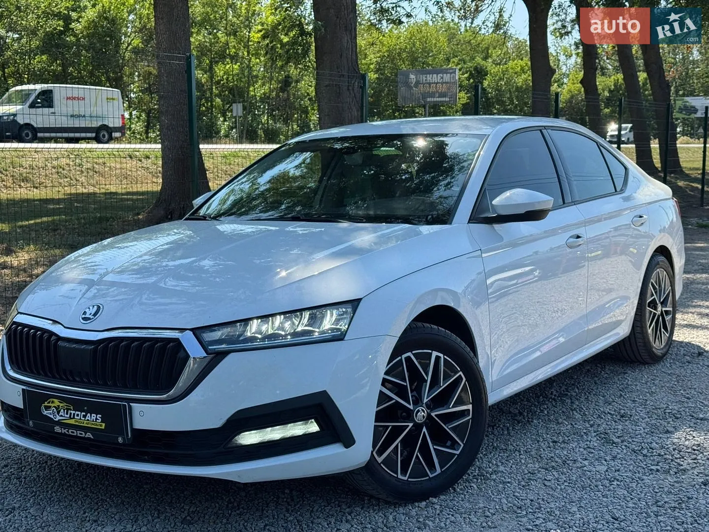 Skoda Octavia, 2020