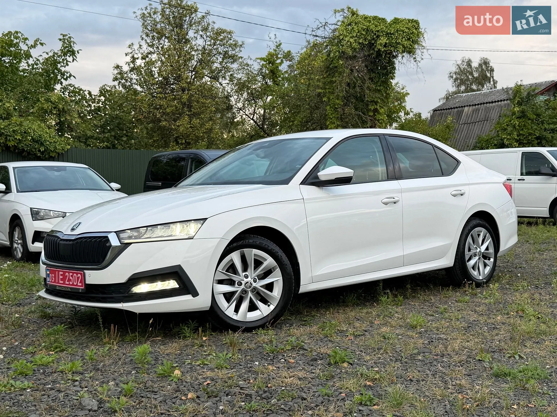 Skoda Octavia, 2020