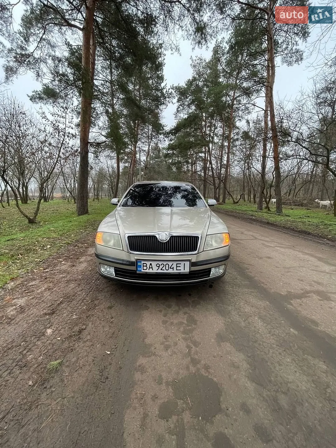 Skoda Superb, 2004