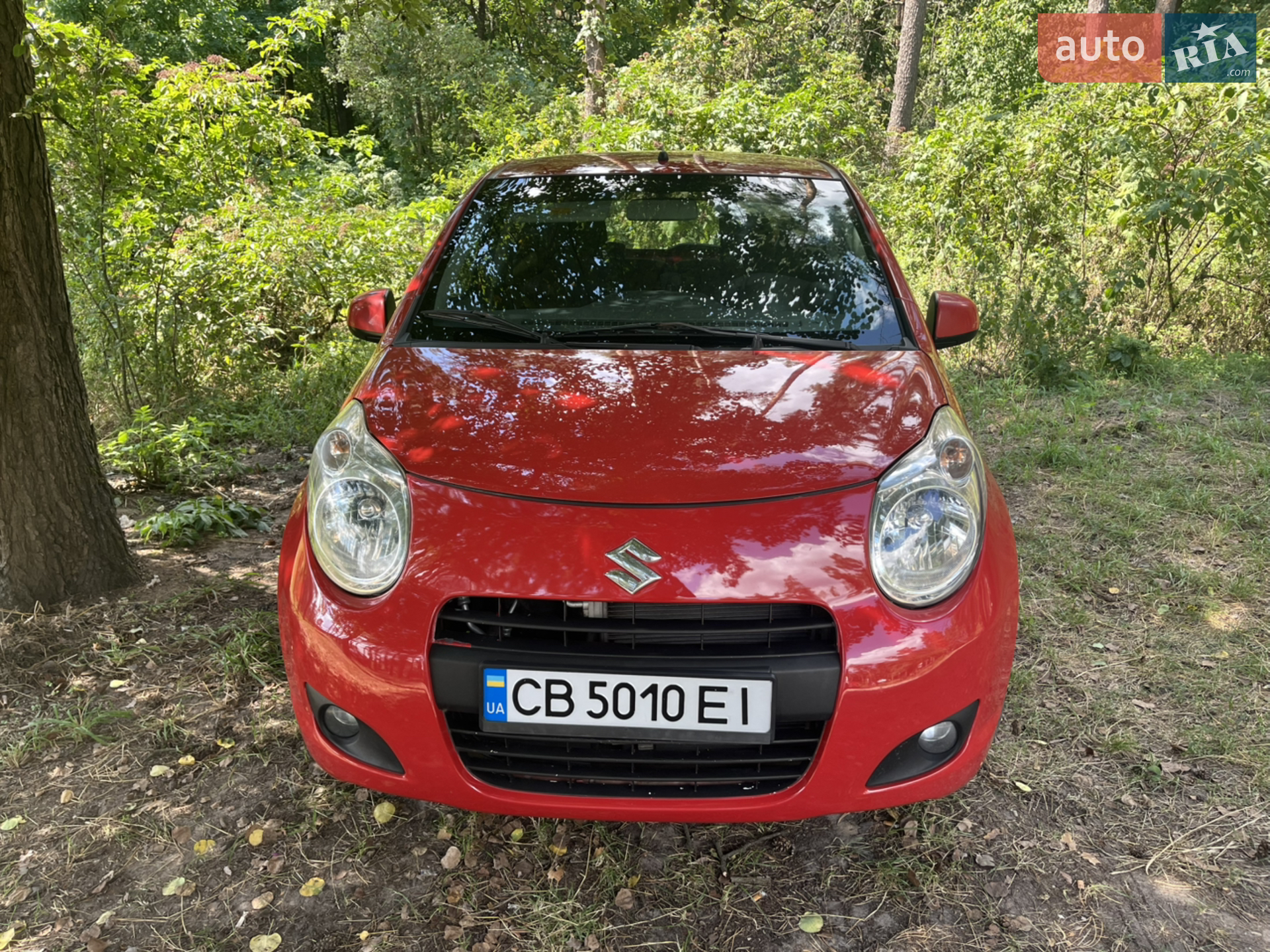 Suzuki Alto, 2010