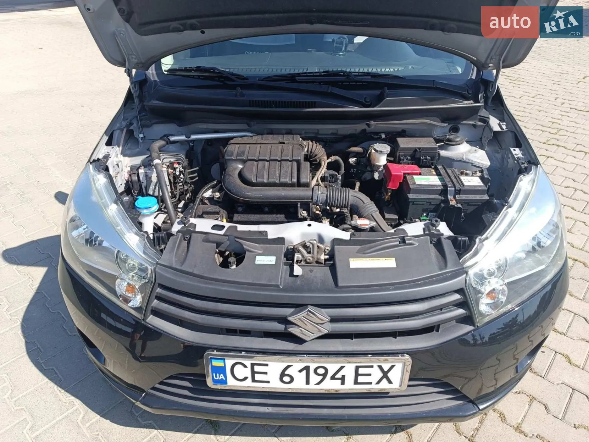 Suzuki Celerio, 2019