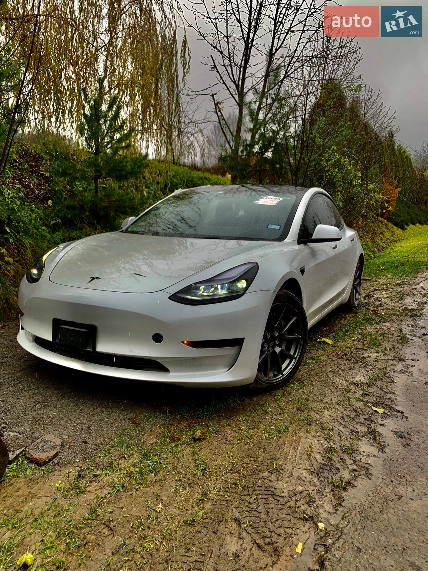 Tesla Model 3, 2021