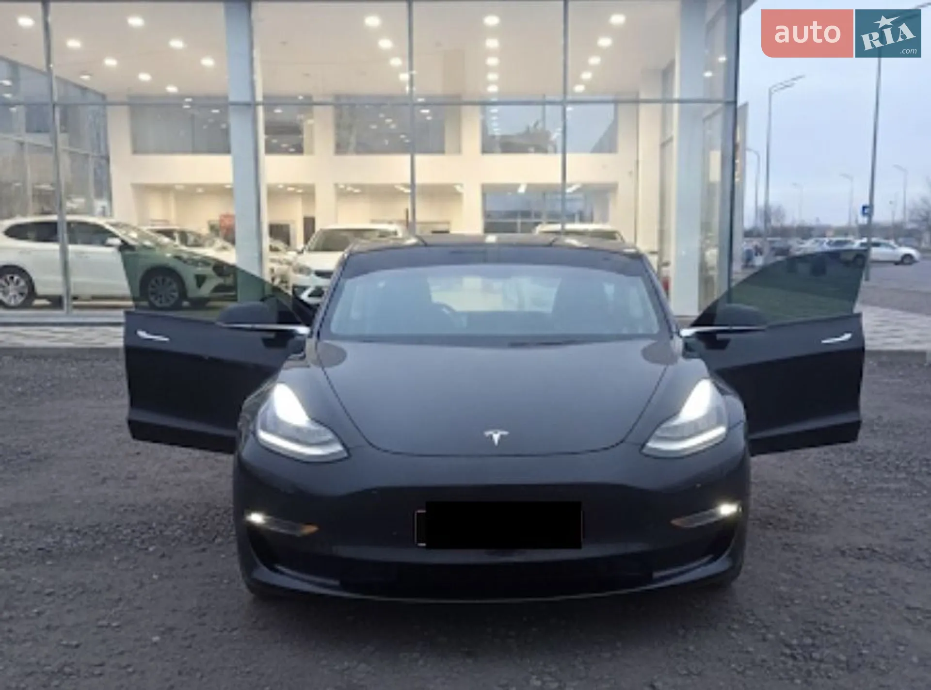 Tesla Model 3, 2019