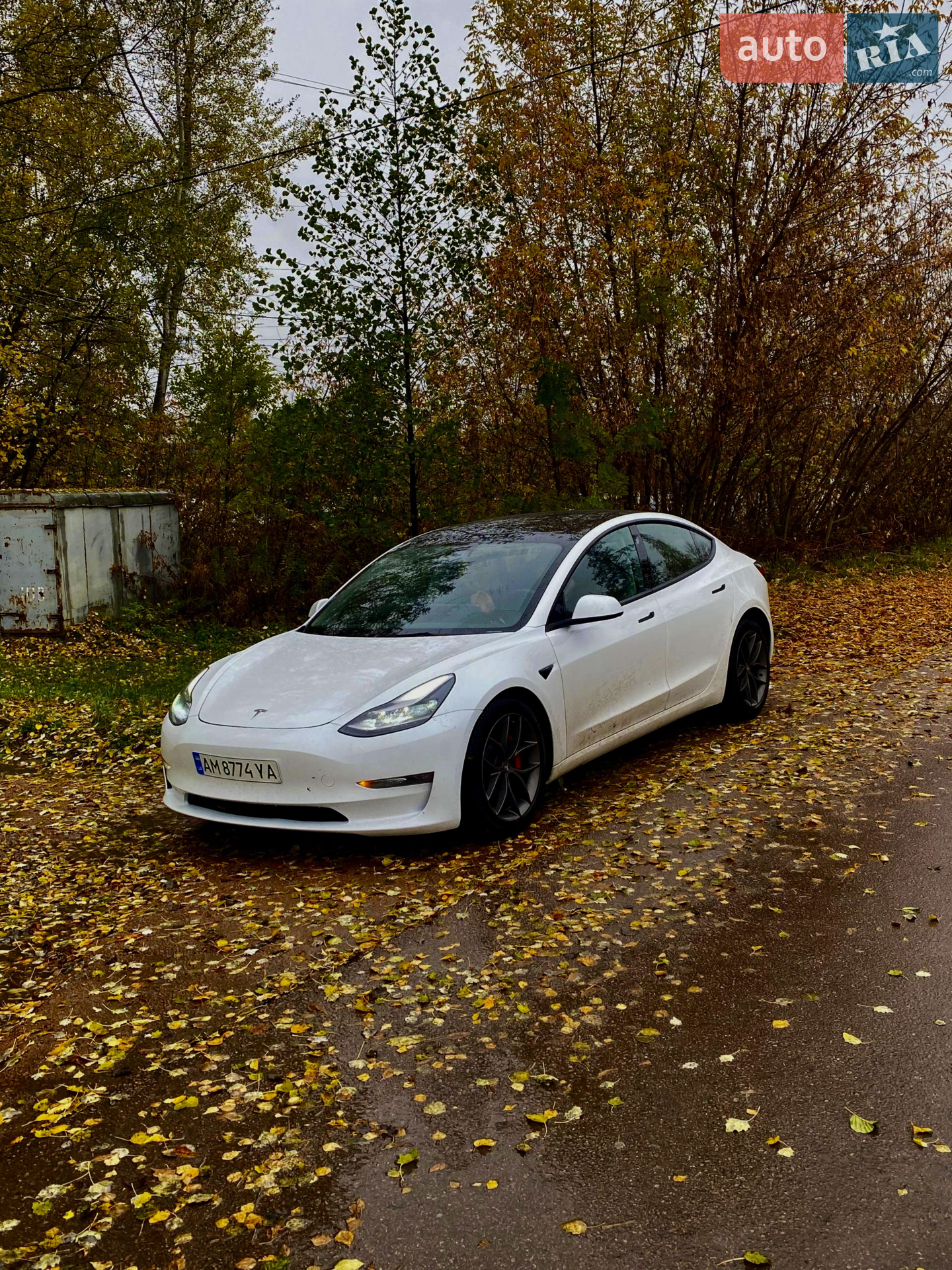 Tesla Model 3, 2023