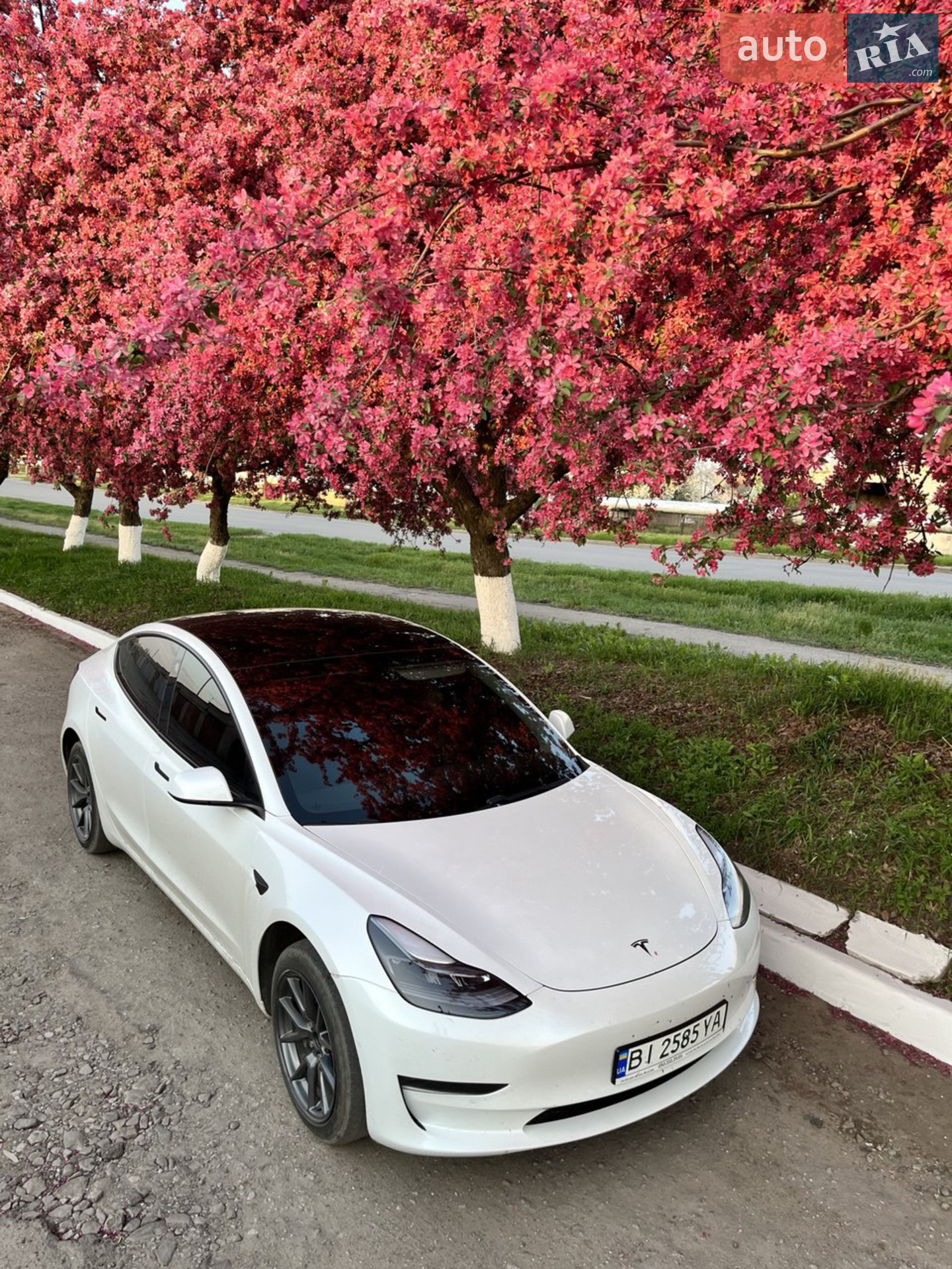 Tesla Model 3, 2021
