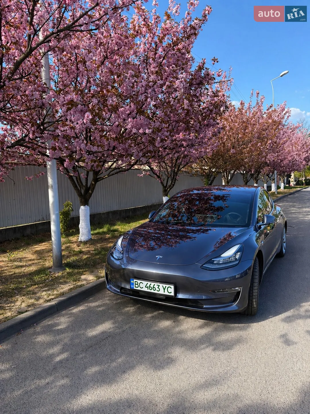 Tesla Model 3, 2019