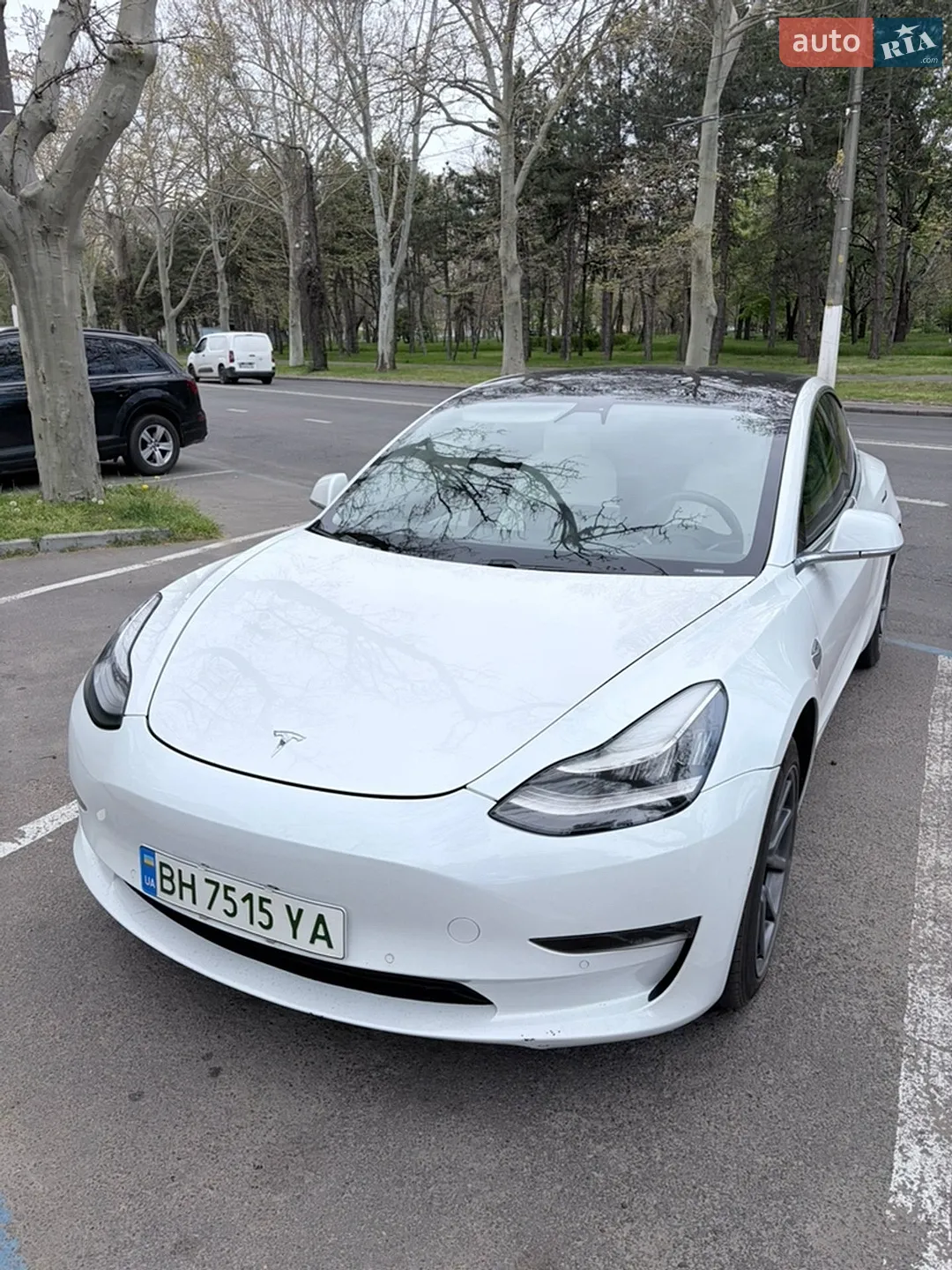 Tesla Model 3, 2019