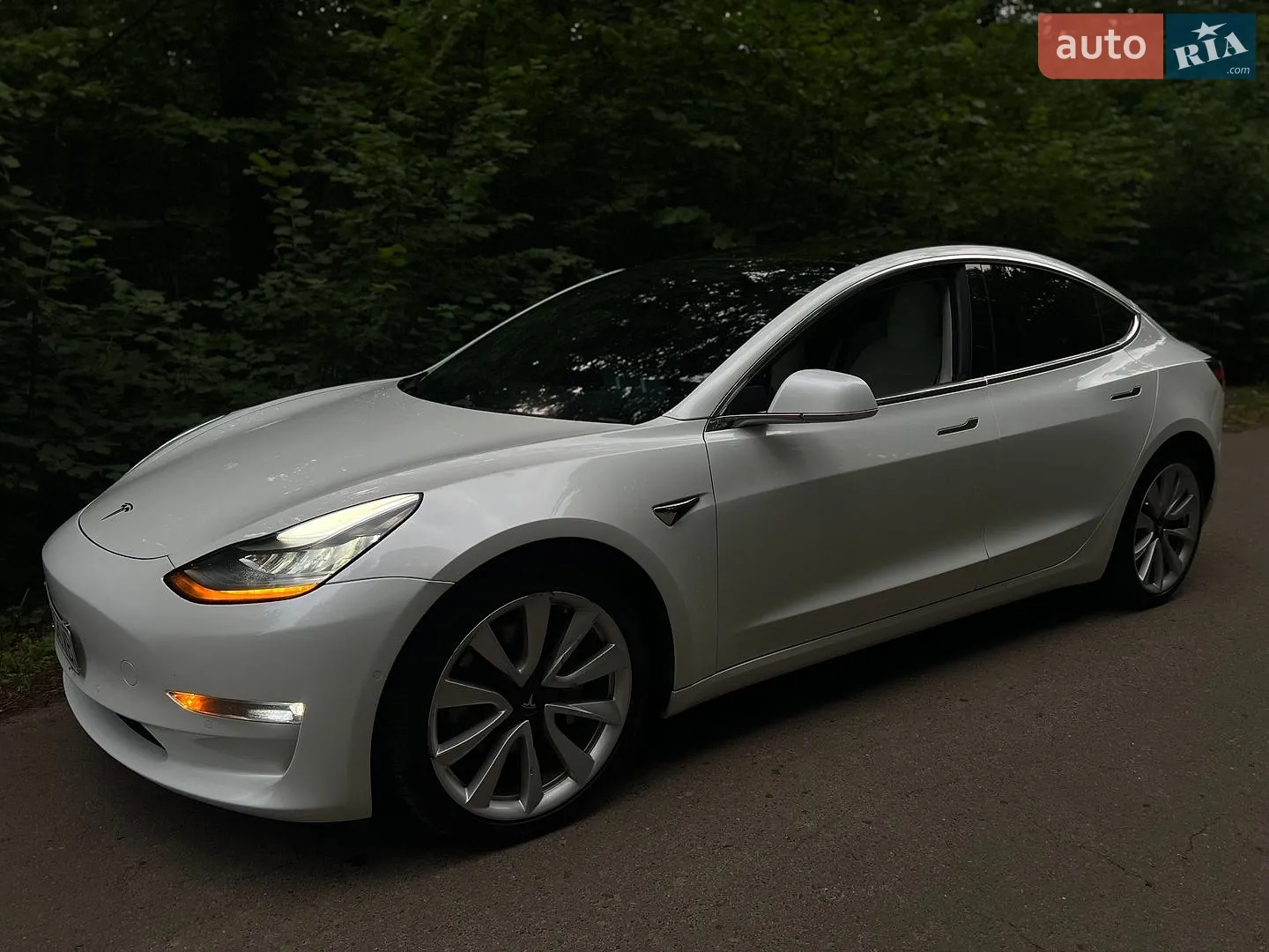 Tesla Model 3, 2019