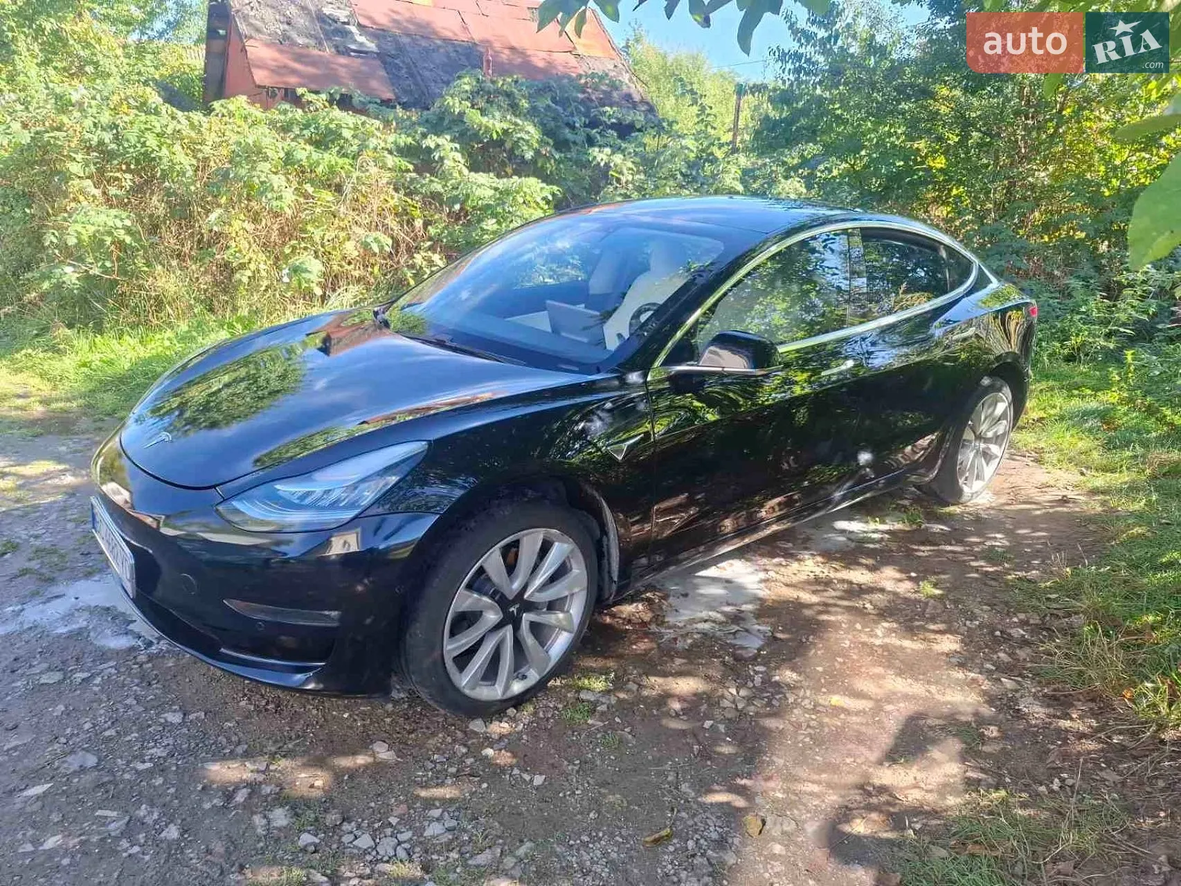 Tesla Model 3, 2019