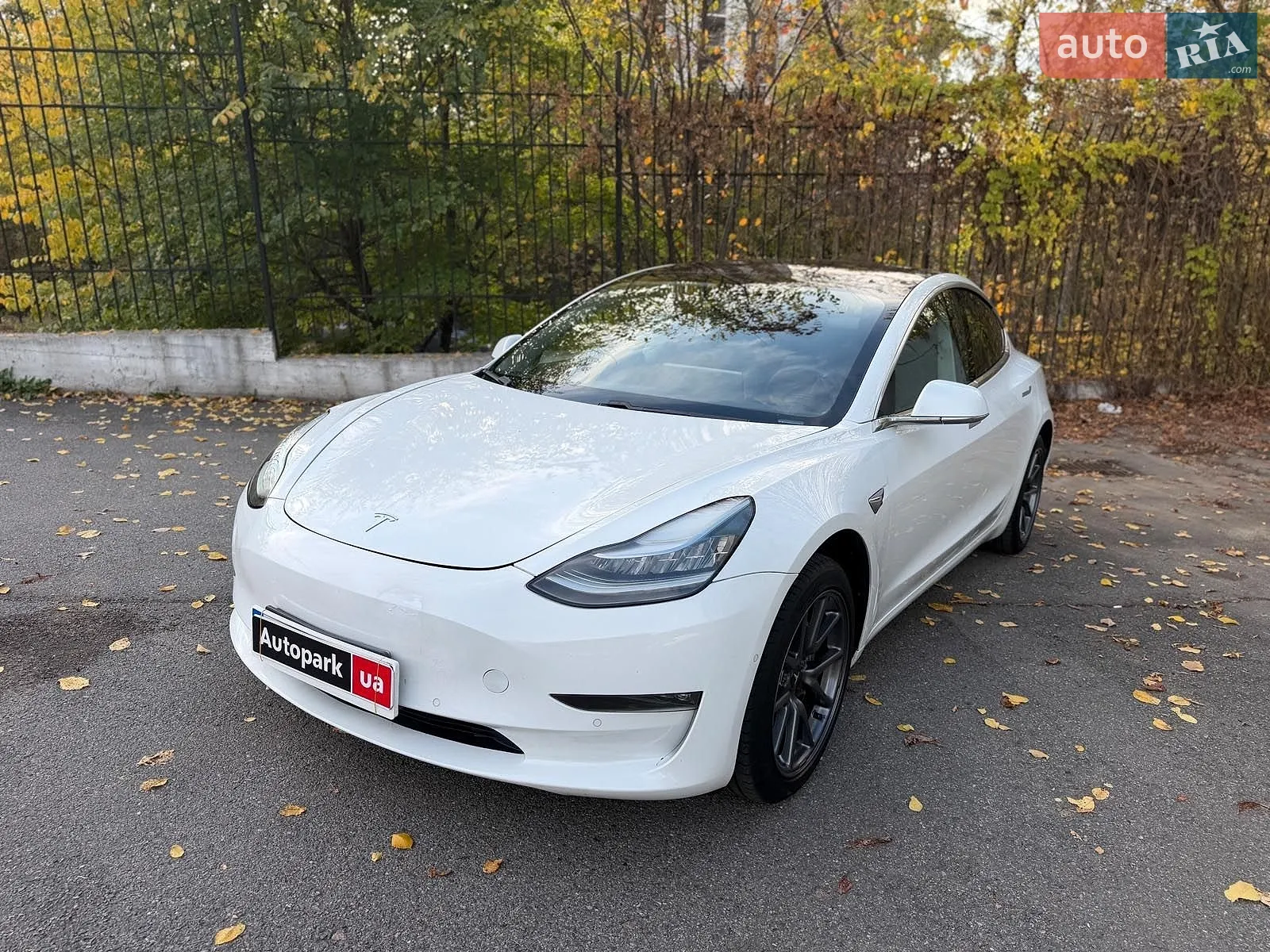 Tesla Model 3, 2019