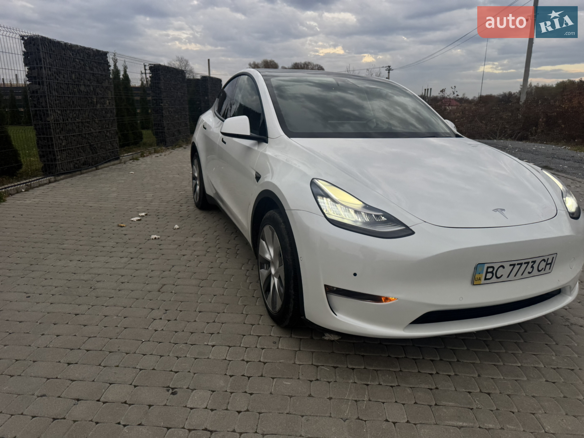 Tesla Model Y, 2020
