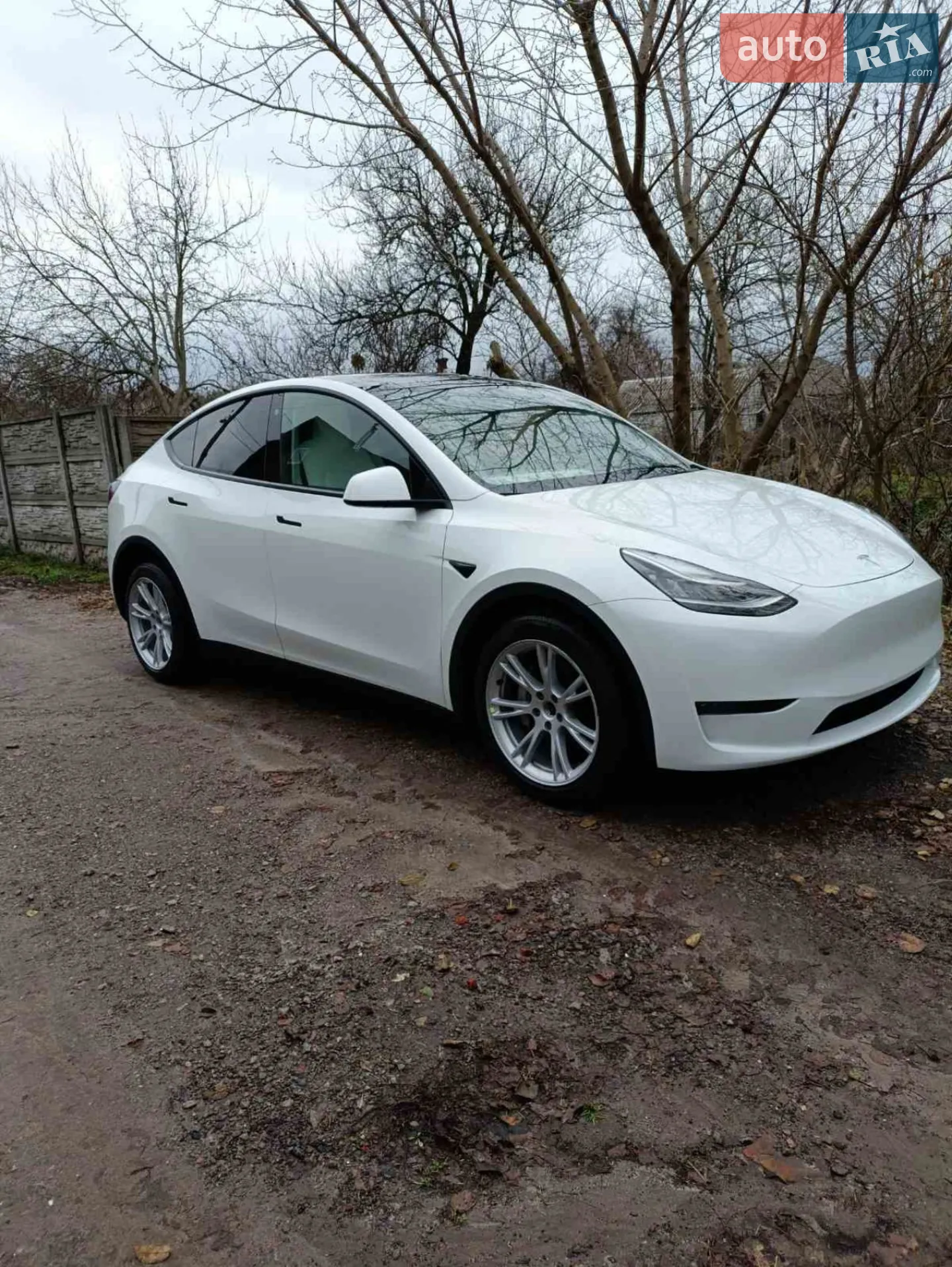 Tesla Model Y, 2022