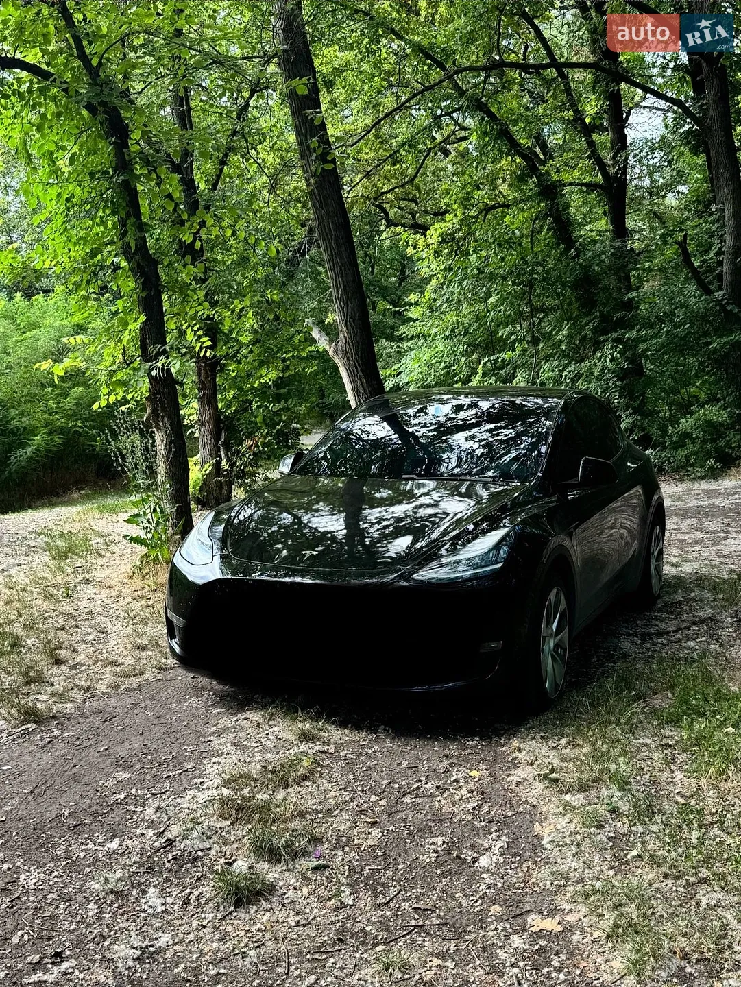 Tesla Model Y, 2020