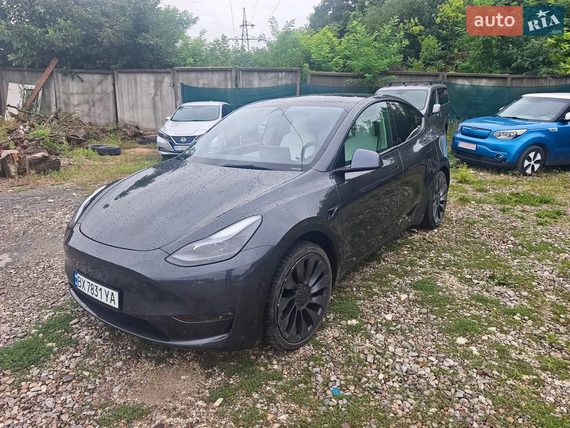 Tesla Model Y, 2021