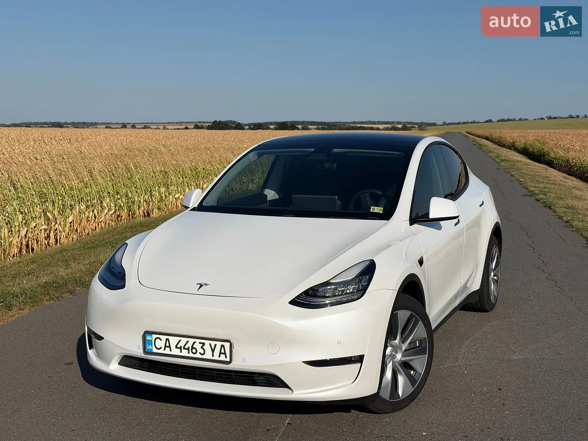Tesla Model Y, 2020