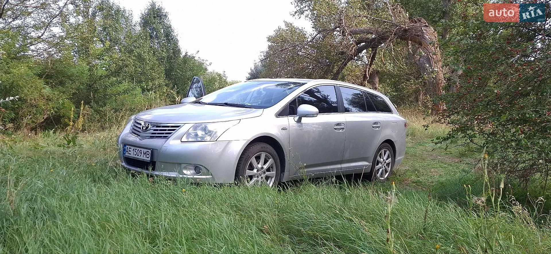 Toyota Avensis, 2010