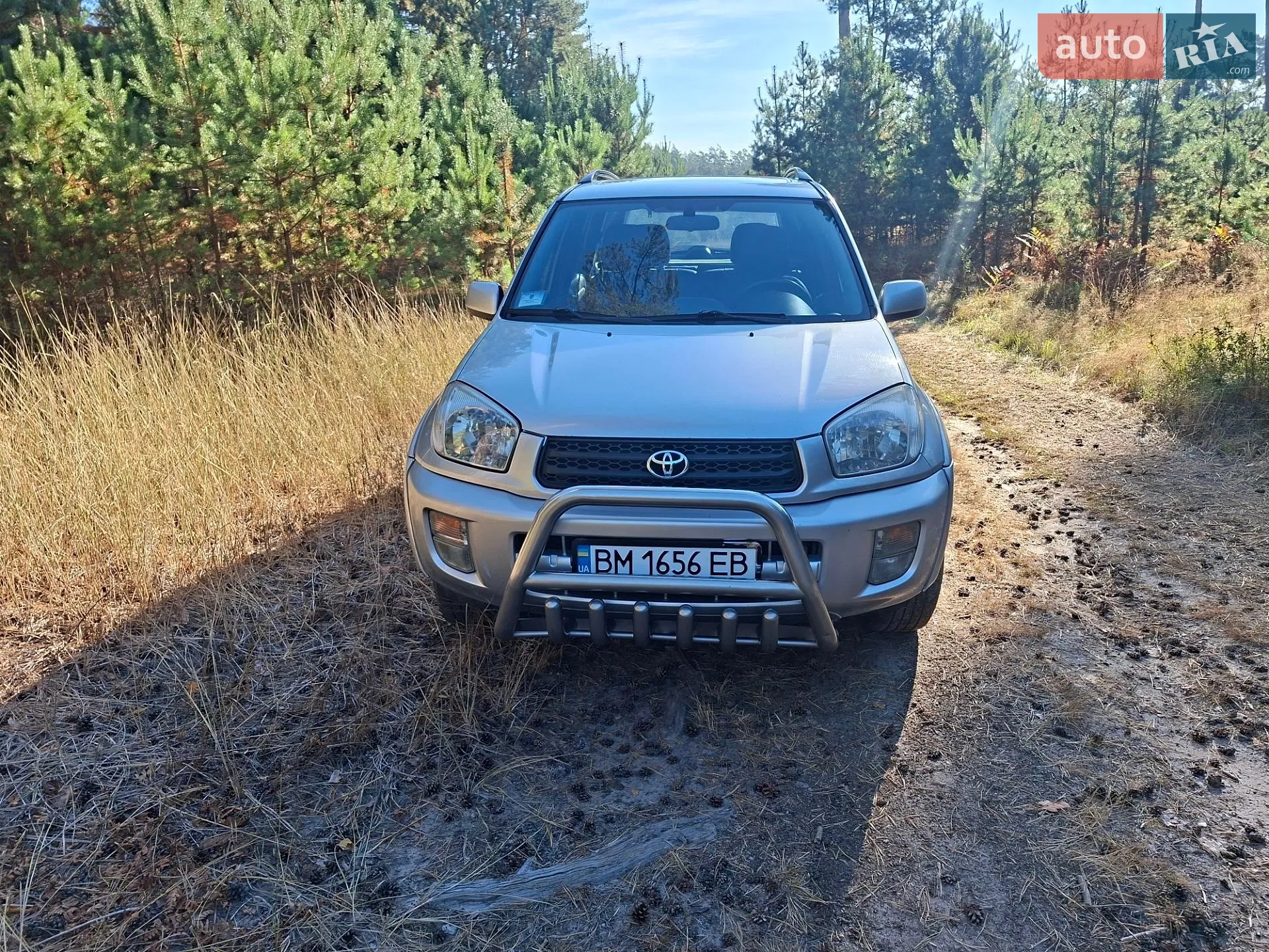 Toyota RAV4, 2002