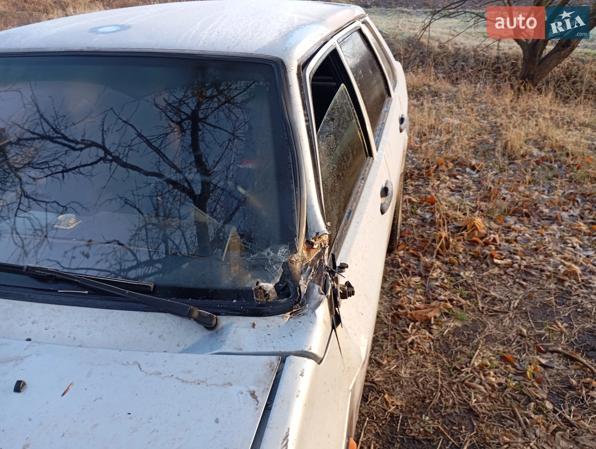 ВАЗ / Lada 21099, 2005