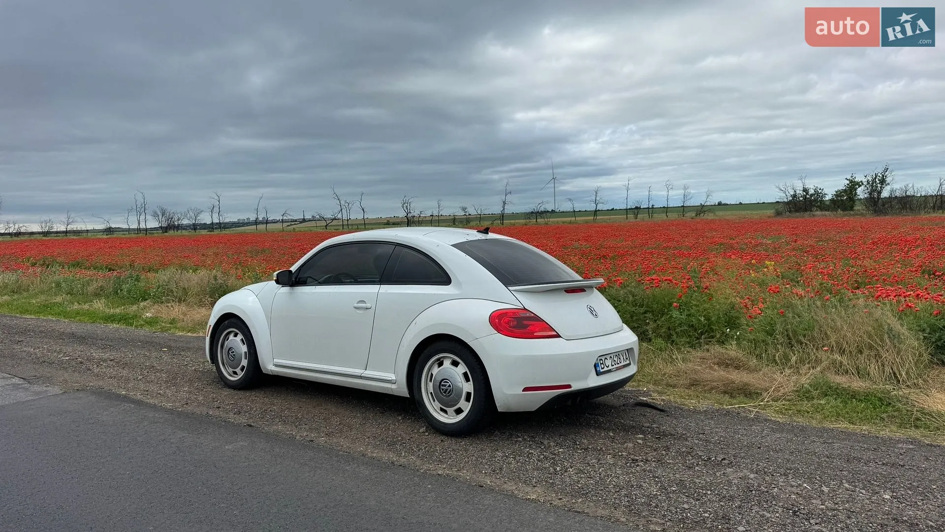 Volkswagen Beetle, 2014