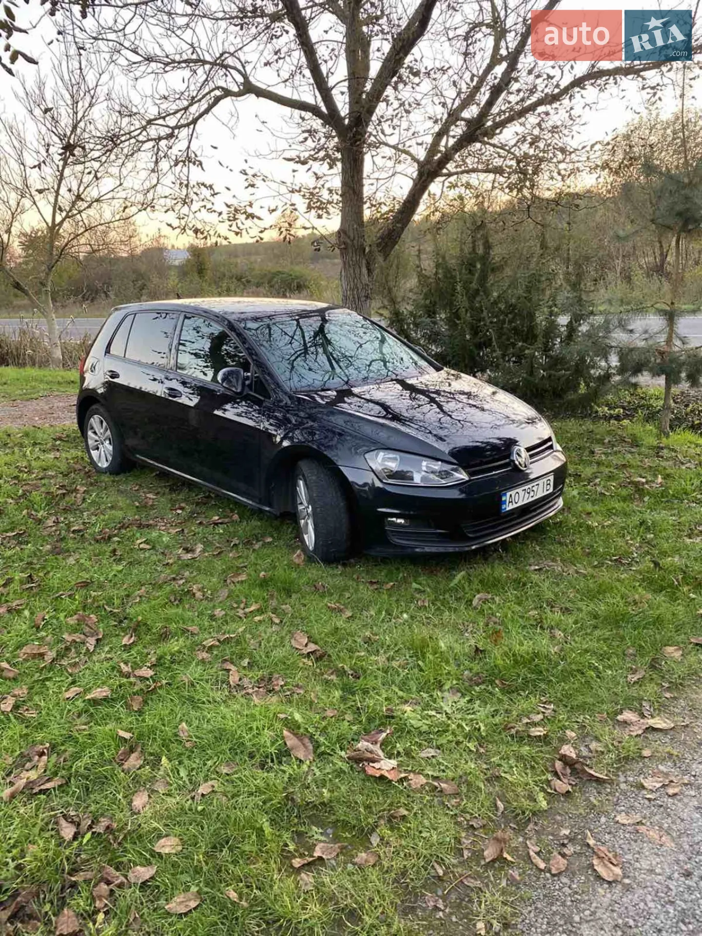 Volkswagen Golf, 2013