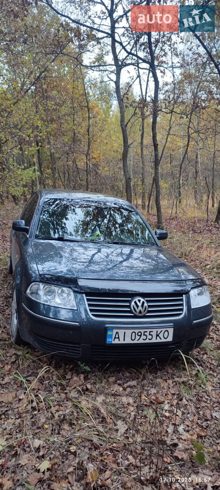 Volkswagen Passat, 2001