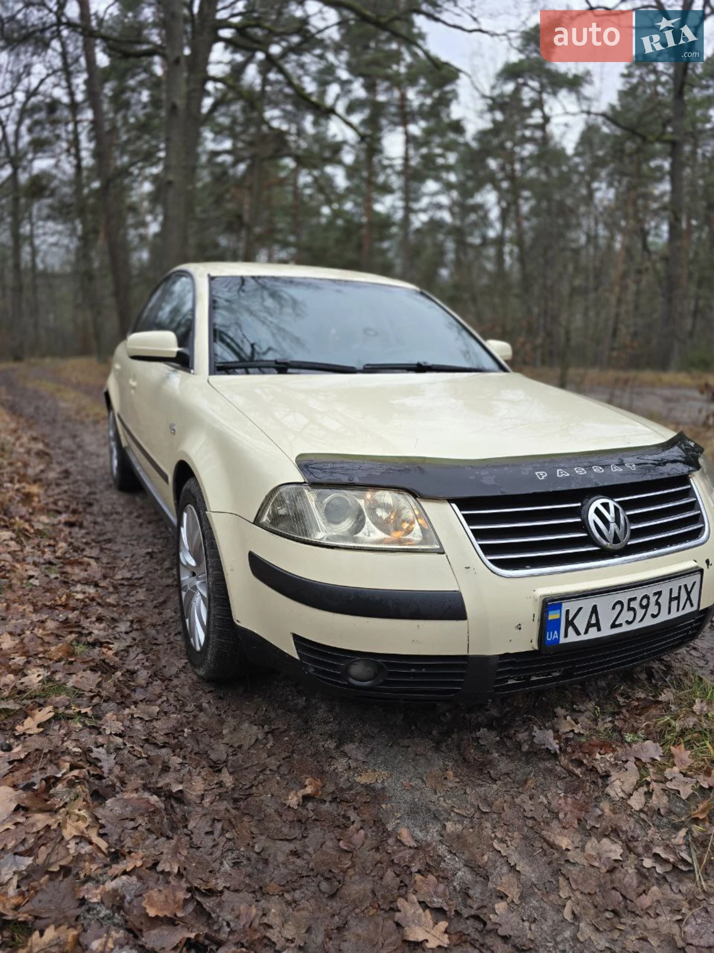 Volkswagen Passat, 2002
