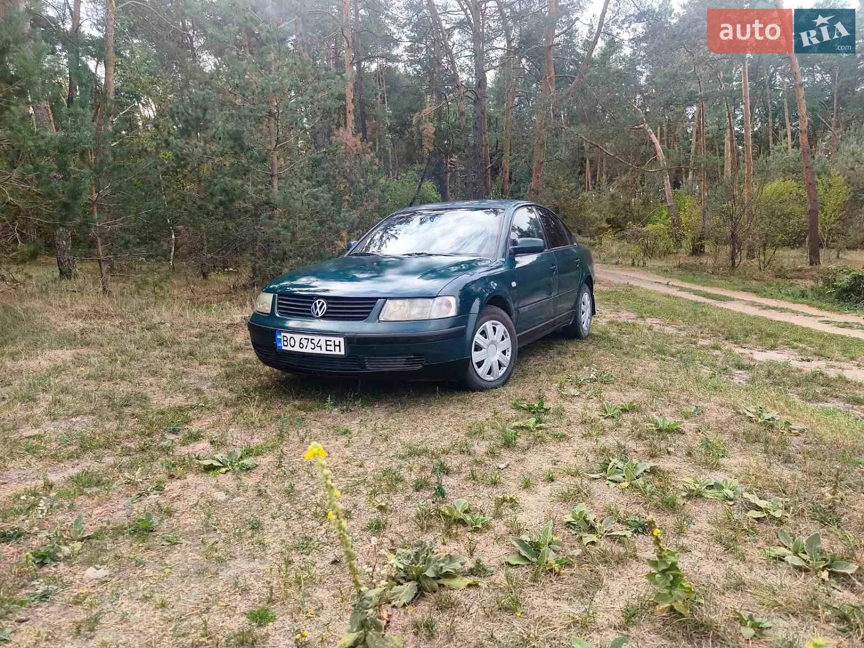 Volkswagen Passat, 1998