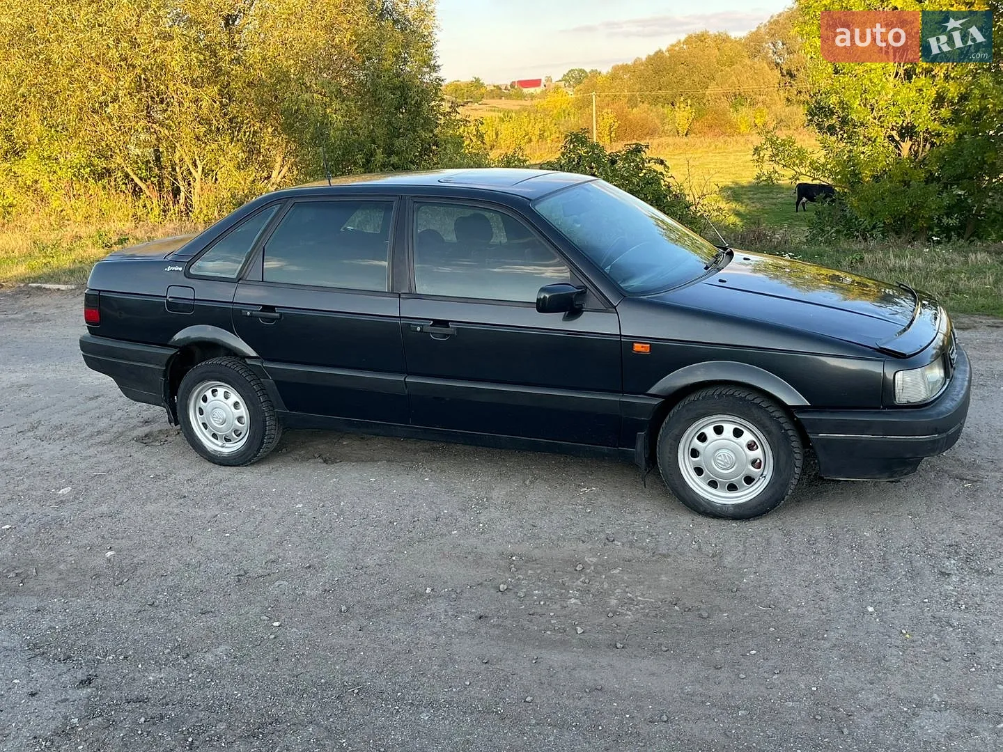 Volkswagen Passat, 1993