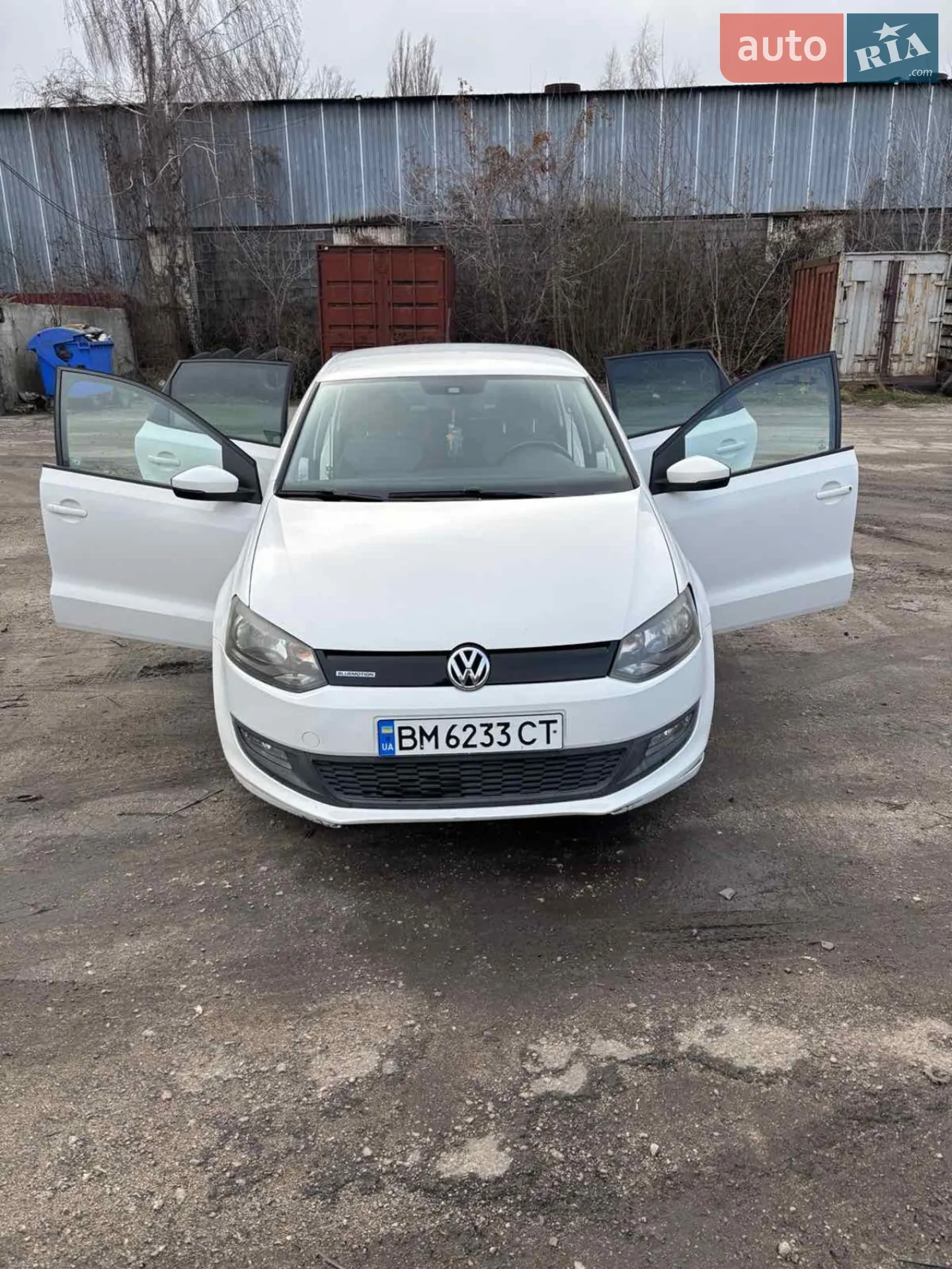 Volkswagen Polo, 2010