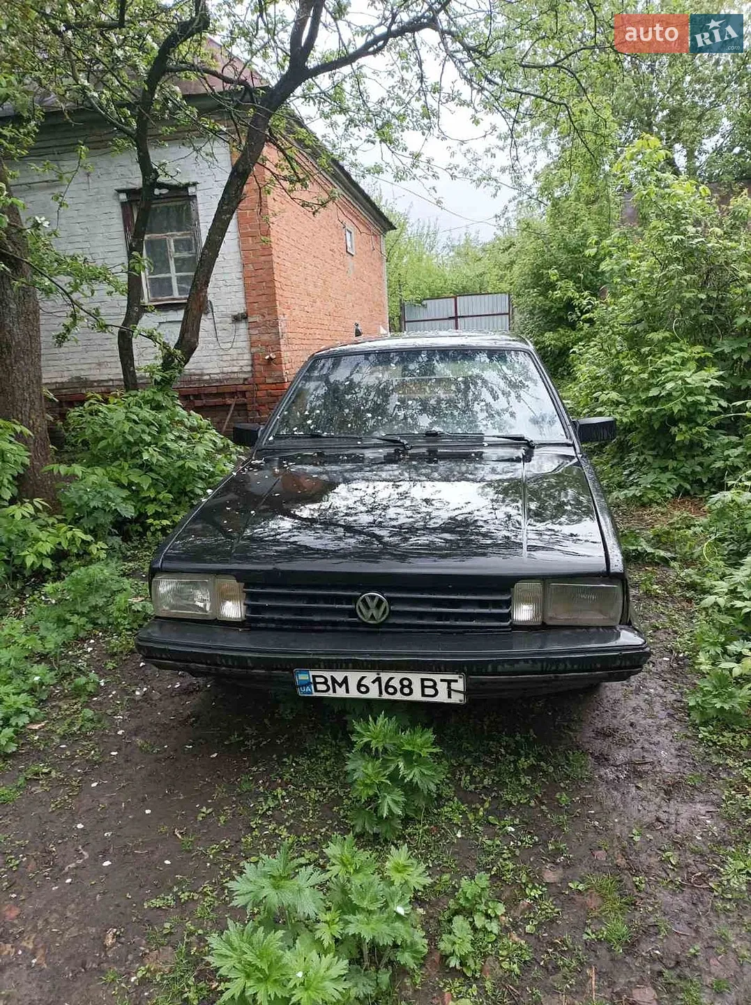 Volkswagen Santana, 1982