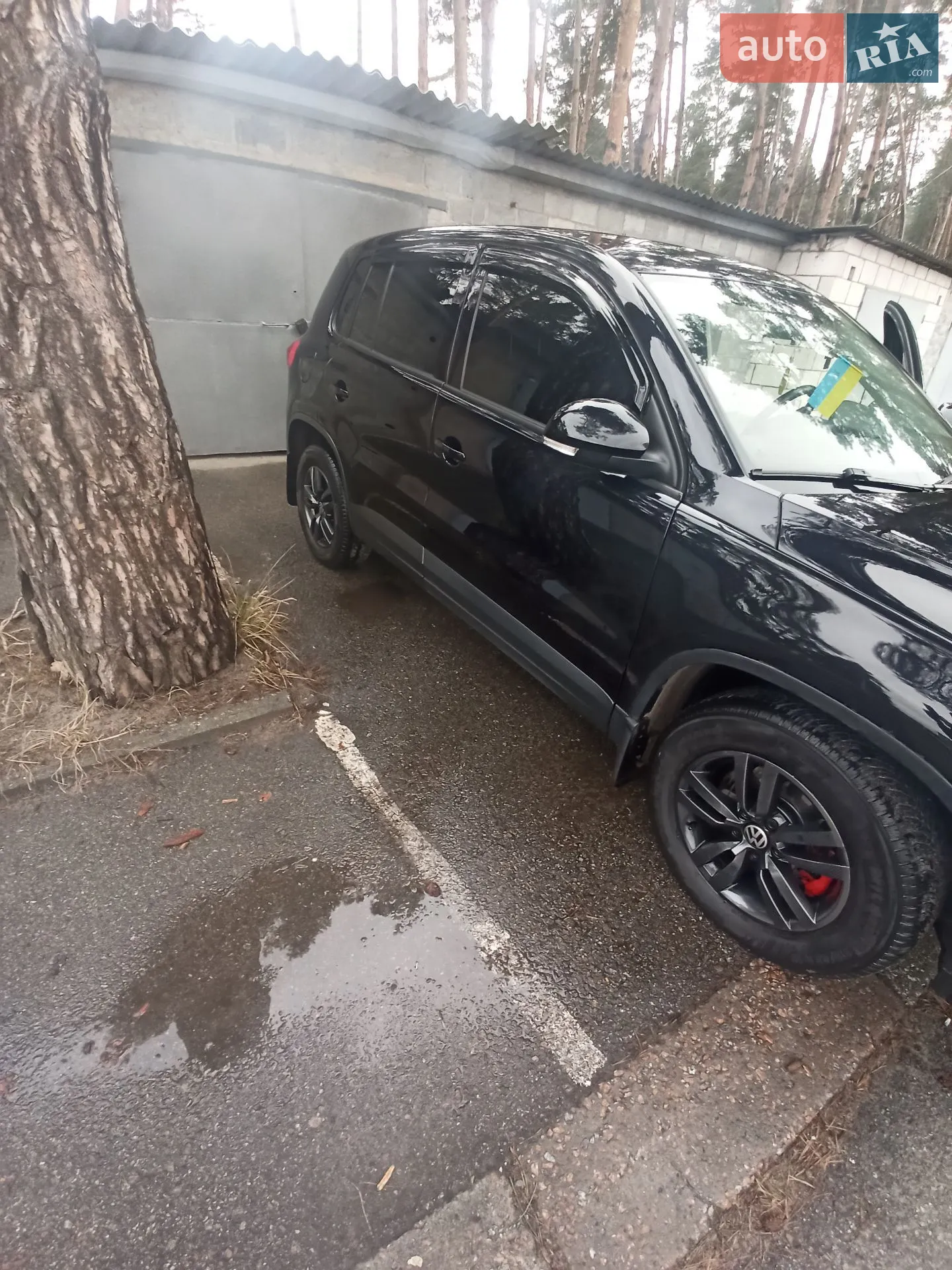 Volkswagen Tiguan, 2013