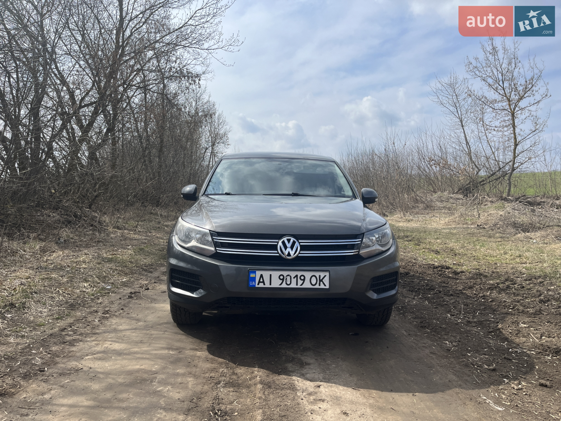 Volkswagen Tiguan, 2013