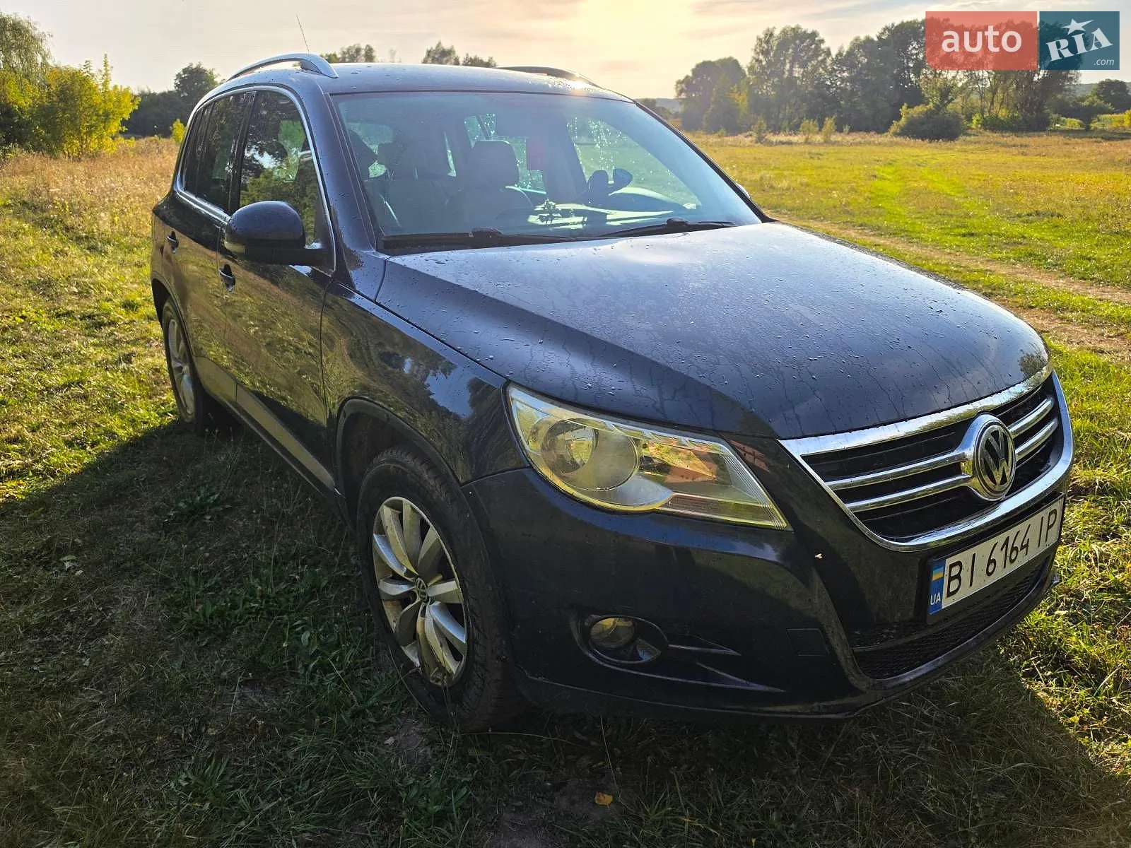 Volkswagen Tiguan, 2010