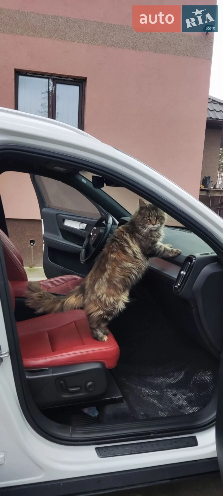 Volvo XC40, 2019