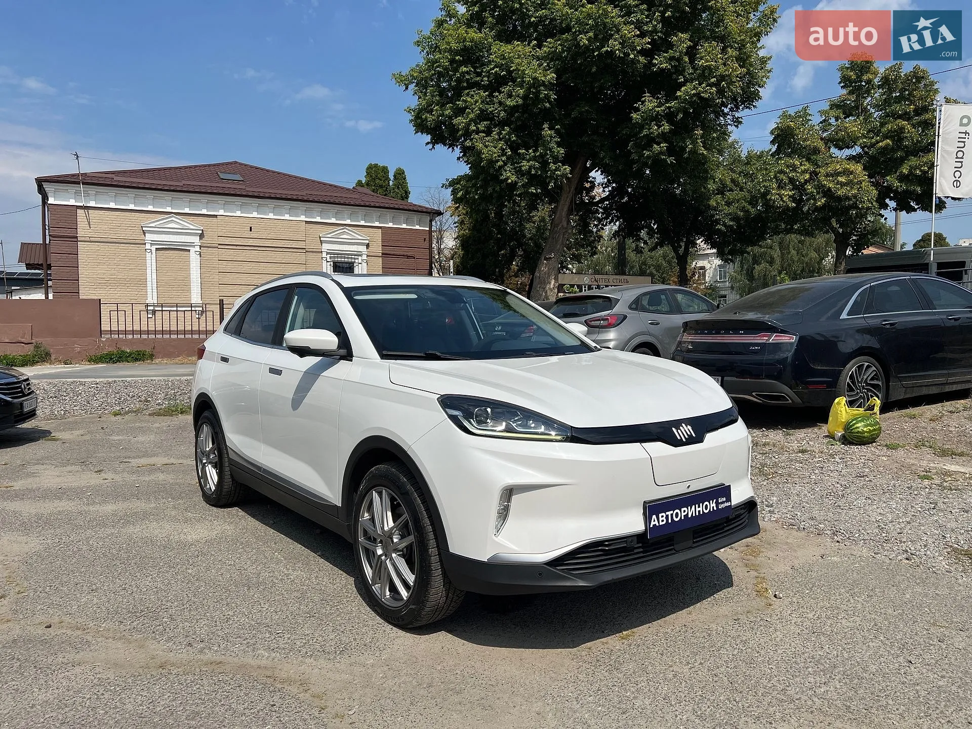 Weltmeister EX5, 2019