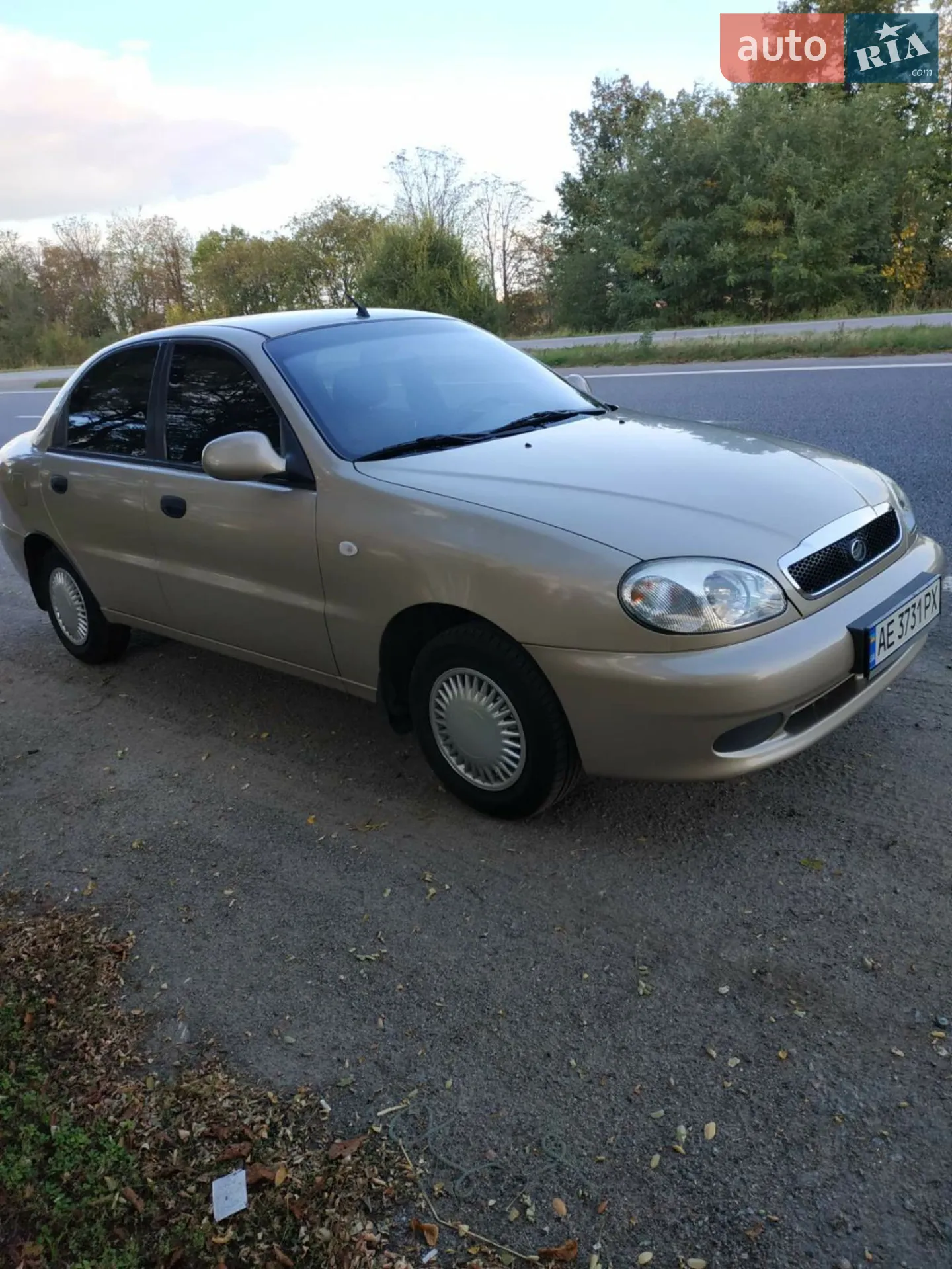 ЗАЗ Sens, 2013