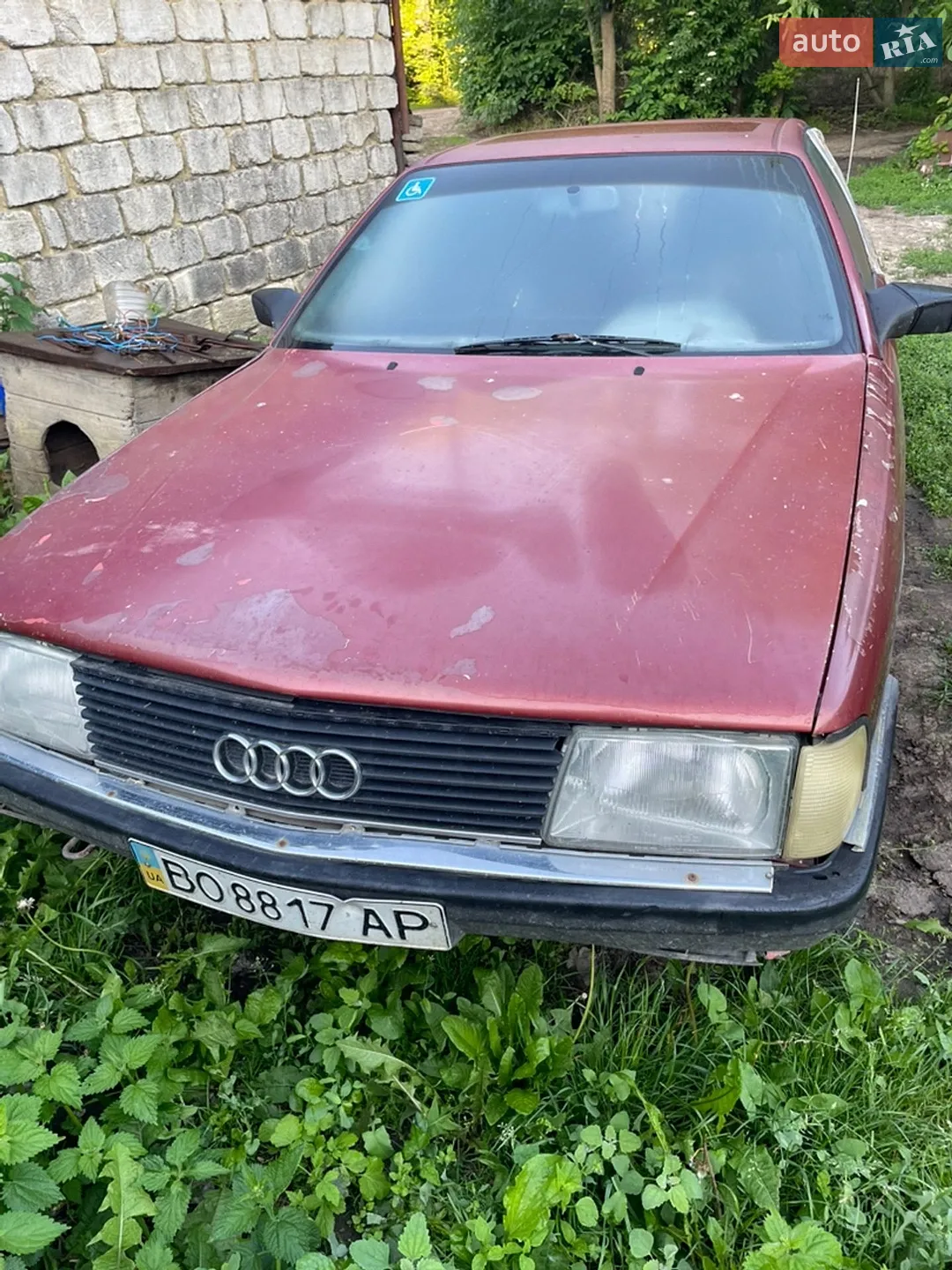 Audi 100, 1982