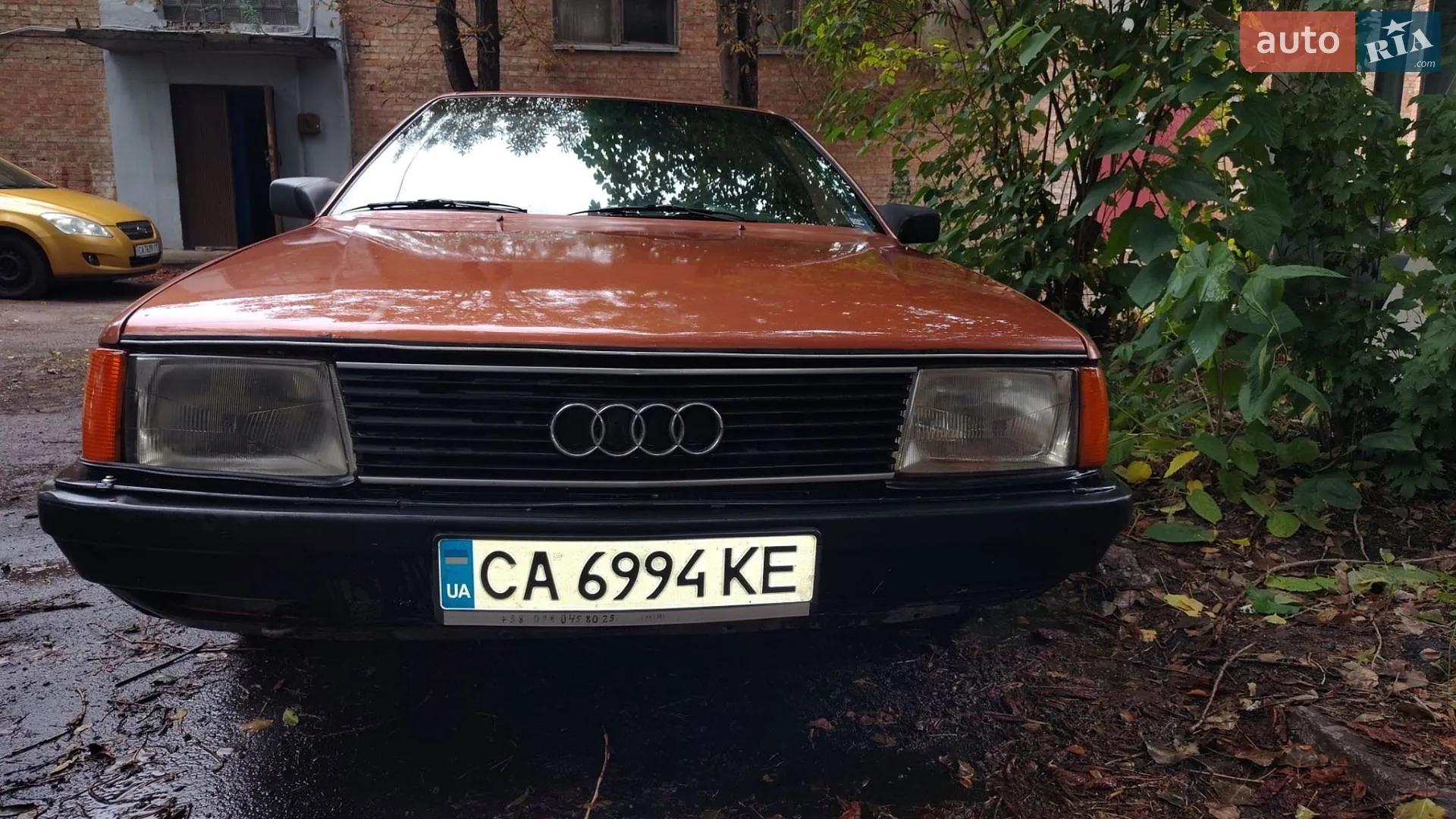 Audi 100, 1984