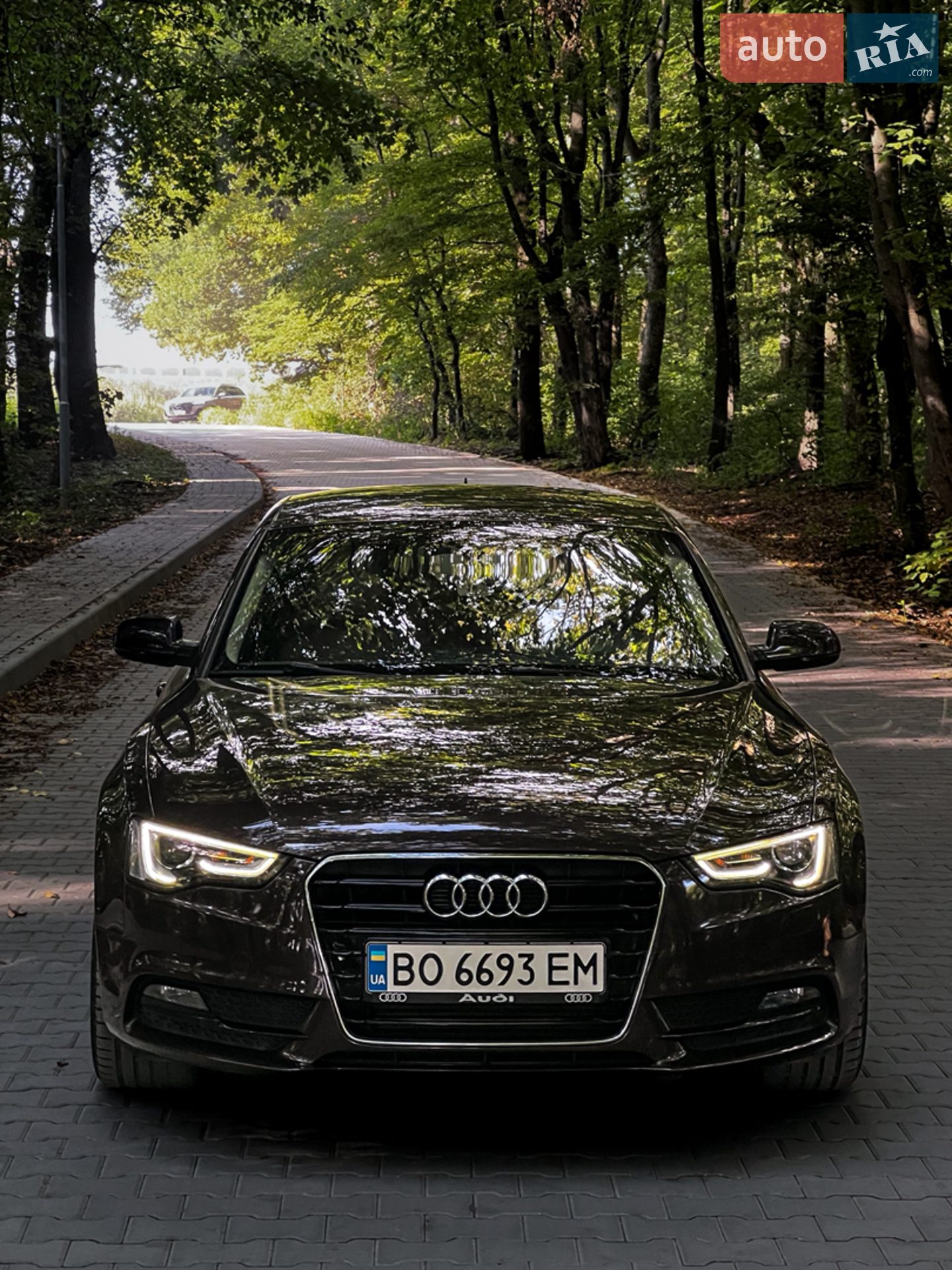 Audi A5, 2013